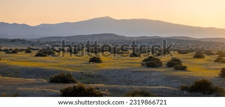 Scenic landscape of Carrizo plains in Southern California, during twilight.