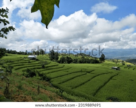 Mountain view, sky and rice terraces