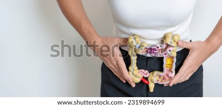 Woman holding human Colon anatomy model. Colonic disease, Large Intestine, Colorectal cancer, Ulcerative colitis, Diverticulitis, Irritable bowel syndrome, Digestive system and Health concept Royalty-Free Stock Photo #2319894699