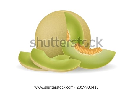 Honeydew melon realistic vector illustration. Honey dew melons cuts isolated 3d vector drawing, honeydews pieces with green pulp Royalty-Free Stock Photo #2319900413