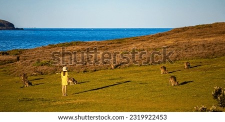 A beautiful girl in a yellow dress enjoys a close encounter with adorable eastern grey kangaroos in the beautiful green hills. Look At Me Now Headland Walk, Coffs Harbour, NSW, Australia