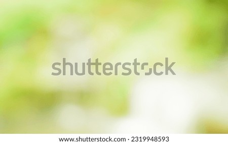 Blur green background. Nature green summer