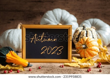 Autumn Pumpkin Decoration With Text Autumn 2023. Wooden Background with Corlorful Rustic Fall Decor Like Leaf And Golden Picture Frame
