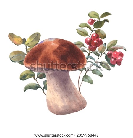 Mushrooms forest boletus with grass and lingonberries. Watercolor illustration, hand drawn, Isolated on a white background.