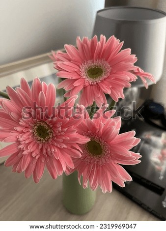 Sunflower pink color in vase
