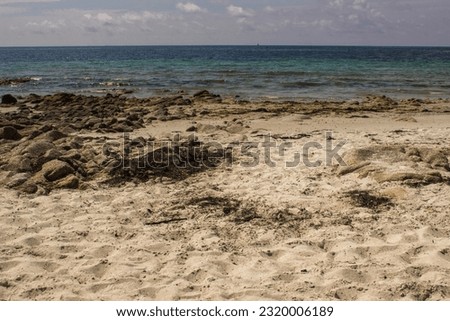 Ocean coast beach waves sand and rocks