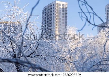 the trees are covered by snow against the backdrop of tall buildings and a blue sky
