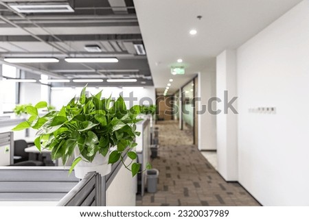 Green plants in modern office Royalty-Free Stock Photo #2320037989