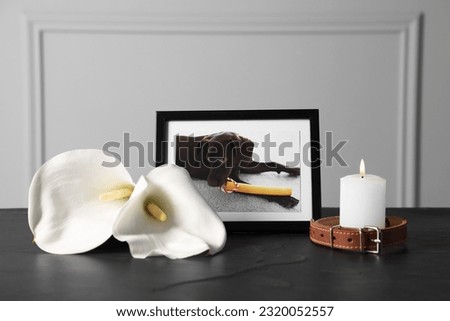 Frame with picture of dog, collar, burning candles and calla flowers on black table. Pet funeral