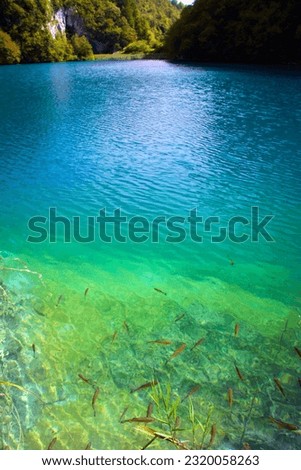 Crystalline Waters of Plitvice Lakes - Croatia