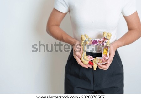 Woman holding human Colon anatomy model. Colonic disease, Large Intestine, Colorectal cancer, Ulcerative colitis, Diverticulitis, Irritable bowel syndrome, Digestive system and Health concept Royalty-Free Stock Photo #2320070507