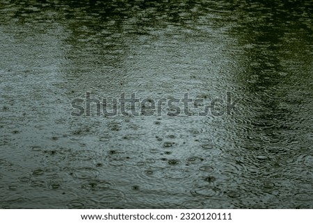 Witness the mesmerizing moment as a rainwater droplet gracefully falls onto a tranquil pond, capturing the beauty of nature in a rainy day
