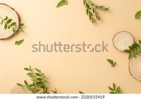 Natural cosmetic products concept. High view photo of empty place surrounded by eucalyptus and fern foliage and wooden pedestals on isolated beige background with copyspace