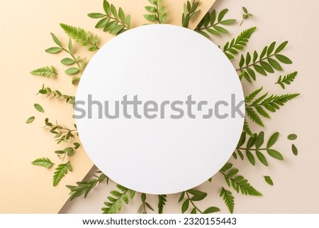 Natural cosmetic products concept. High view photo of empty place surrounded by eucalyptus and bracken foliage on isolated two-toned beige background with copy-space