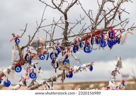 A close-up picture of multiple evil eye charms on a tree, in Uchisar.