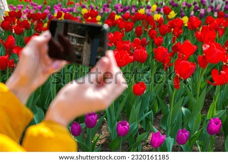 Woman tourist takes pictures of beautiful flowers park. Close-up.