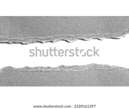 ripped paper on white background, space for your message