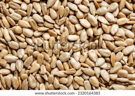 Peeled sunflower seeds, texture background,  macro.