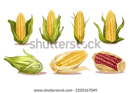 Set of corns. Cheerful cartoon illustration with a charming set design showcasing vibrant and stylized yellow corns. Vector illustration.