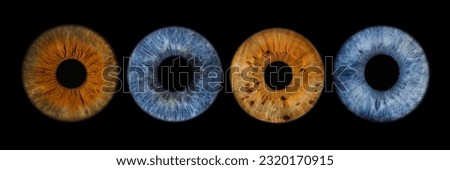Close up of eye iris on black background, macro, photography Royalty-Free Stock Photo #2320170915