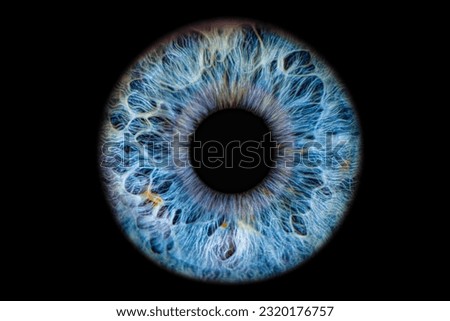 Close up of eye iris on black background, macro, photography Royalty-Free Stock Photo #2320176757