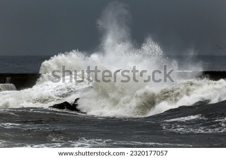 Stormy waves over pier, north of Portugal Royalty-Free Stock Photo #2320177057