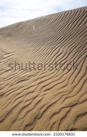 Summer Tottori Sand Dunes and their patterns Tottori Prefecture Tottori Sand Dunes