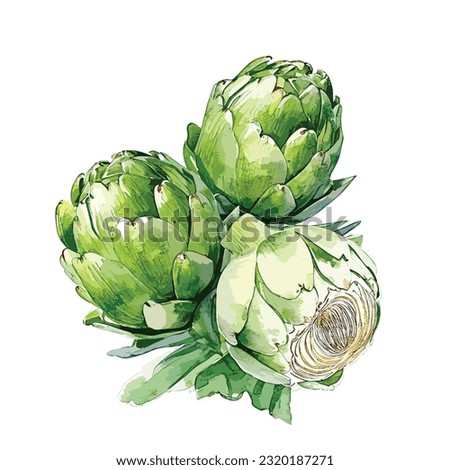 Fresh Artichoke isolated on white background watercolor illustration, watercolor illustration, vector, fresh
 Royalty-Free Stock Photo #2320187271
