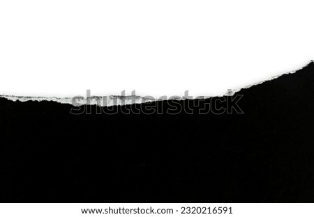 Black and White Torn Paper Collage Style, Ripped Paper Effect, Texture Abstract Background, Copy Space for Text. Royalty-Free Stock Photo #2320216591