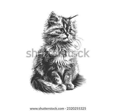Fluffy cat sitting hand drawn sketch Pets. Vector illustration desing.