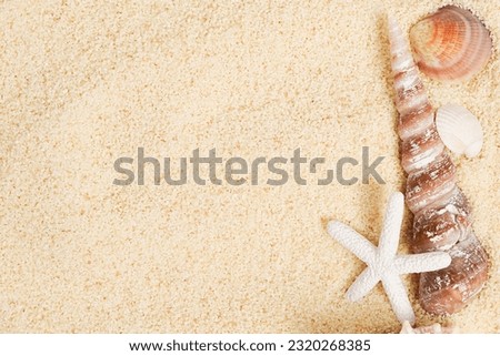 Seashells with starfish on sand background. Sea summer vacation frame card with space for the text