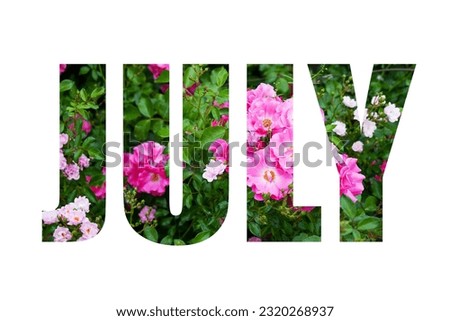 word July from pink roses flowers and green leaves isolated on white background
