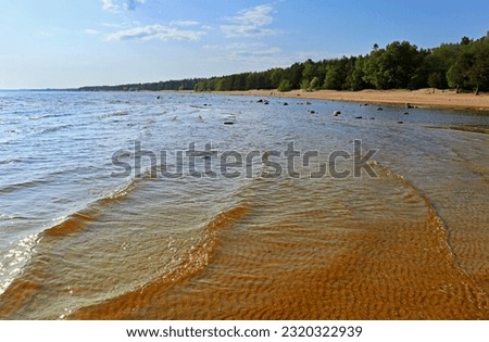 Sandy sea beach on a sunny day. Beautiful idyllic shore landscape with shallow water on the Baltic Sea.