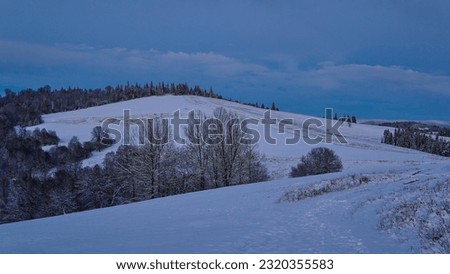        snowy slope with trees with blue sky                        