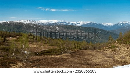 Mountain view from Risfjellet, Mo i Rana, Norway. Norwegian mountain landscape in early summer snow on the high mountain peaks. Pine trees high altitude. Mountain lake, fjord. Panorama high megapixel Royalty-Free Stock Photo #2320365103