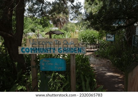 Community Garden in Cedar Key Florida. Sunny day with colorful plants and grounds. 