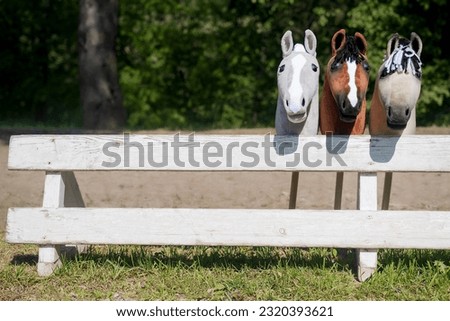Three hobby horses are waiting for the riders. Equestrian sports. Equestrian equipment. Sports. Summer. The sun. Banner. Outdoors. Close-up Royalty-Free Stock Photo #2320393621