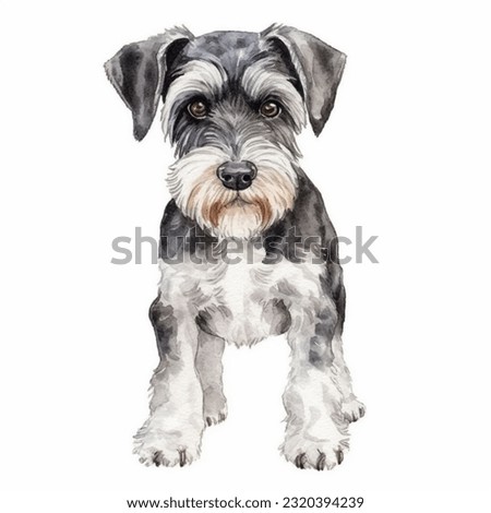 MINIATURE SCHNAUZER watercolor portrait painting illustrated dog puppy isolated on transparent white background
