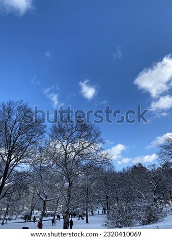 Snow New York in December