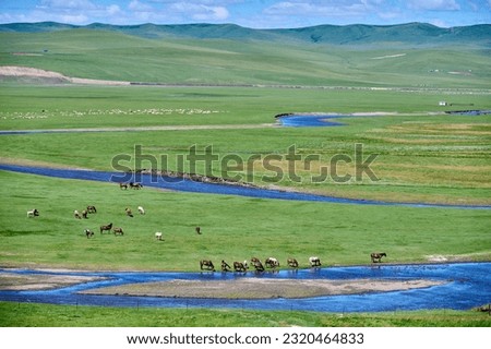The river and hills in the summer grassland of Hulunbuir,Drinking horse Royalty-Free Stock Photo #2320464833