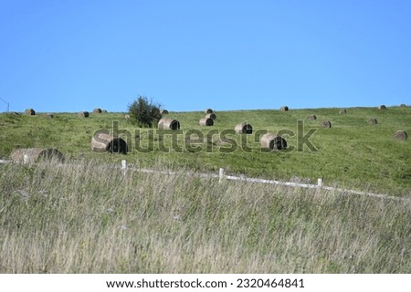 Hulunbeier grassland in Inner Mongolia, Fenced grassland, haystack Royalty-Free Stock Photo #2320464841