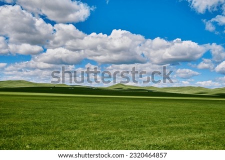 Hulunbeier grassland in Inner Mongolia, herd sheep Royalty-Free Stock Photo #2320464857