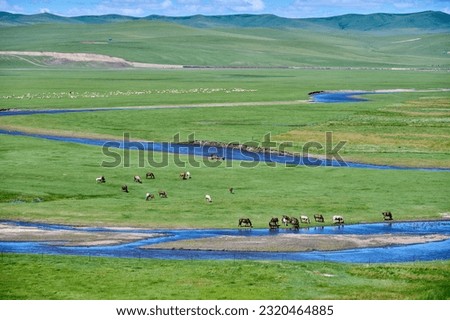 The river and hills in the summer grassland of Hulunbuir, Drinking horse Royalty-Free Stock Photo #2320464885