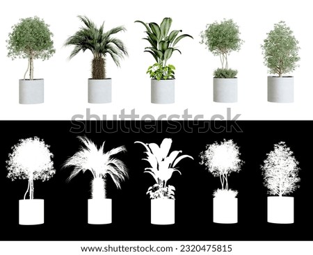 Plant in pot. Green plant isolated on white background. PNG file with transparent background also available. Cutout foliage in a stone plant pot. High quality clipping mask for professional compositio