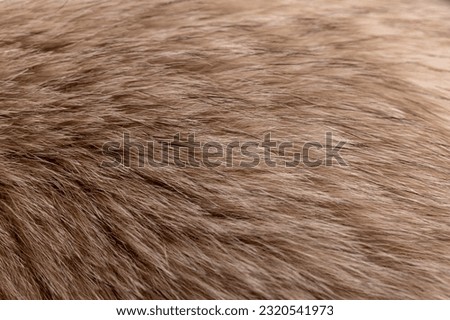 part of a fur coat made of natural beige arctic fox fur, a close-up of arctic fox fur used in the manufacture of clothing