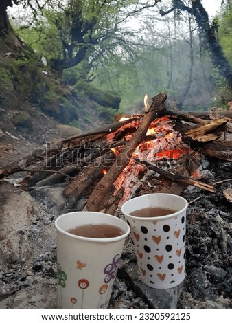 A crackling fire radiates warmth and flickering light, captivating the senses. Two cups of tea sit nearby, their steam mingling with the scent of the burning wood.
