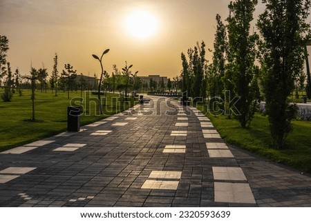 Background landscape with a path in the park in spring or summer with trees and a lawn for a walk