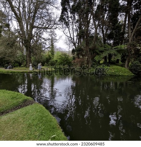 The Terra Nostra Garden on Sao Miguel island, Azores, Portugal, Beautiful Garden and Pond