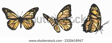 Butterflies in various perspectives. Dark gray outline design and pastel metallic colors. Contoured silhouette figures.