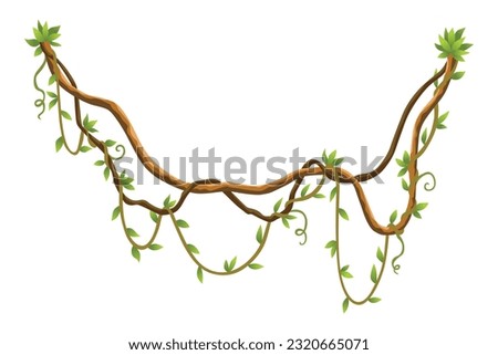 Twisted wild lianas branches banner. Jungle vine plants. Woody natural tropical rainforest, exotic botany. Woody natural branches Royalty-Free Stock Photo #2320665071